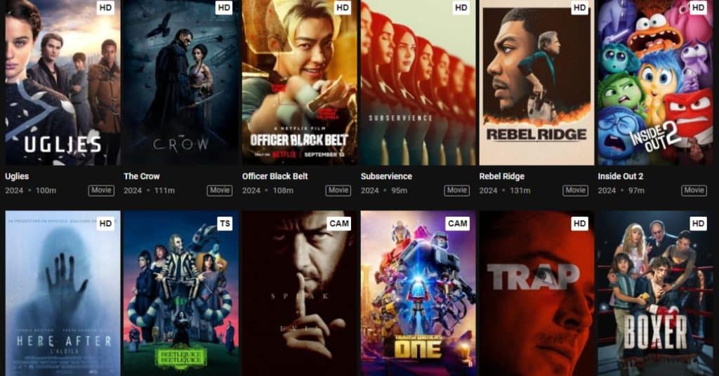 BFlix has many movies